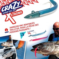 FIIISH  Crazy Sand Eel  XSTRONG N3